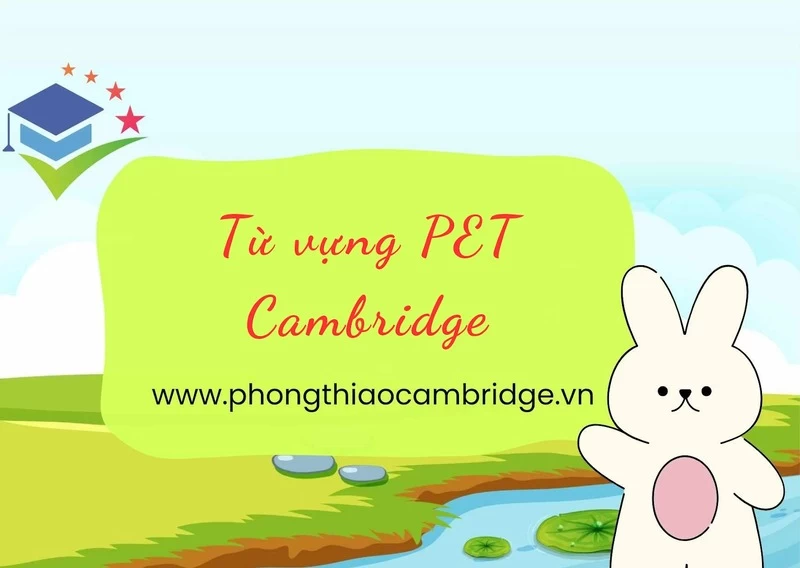 Tổng hợp từ vựng PET Cambridge theo chủ đề cho bé