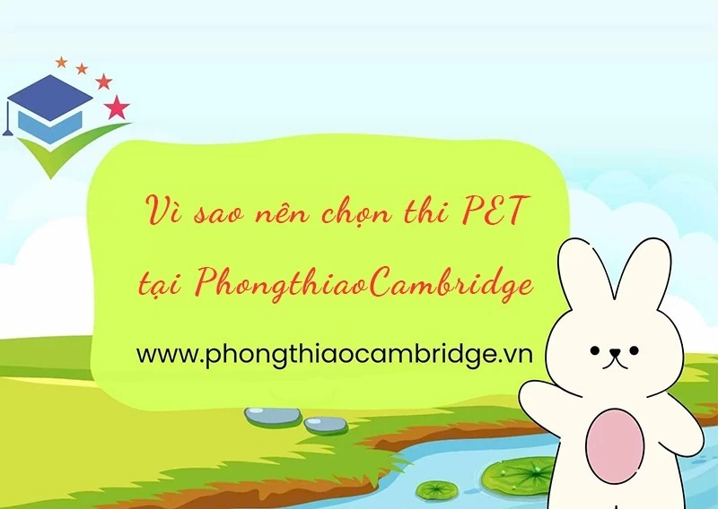 Vì sao nên chọn thi PET tại PhongthiaoCambridge?